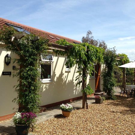 Ashford House B&B 韦尔斯 外观 照片