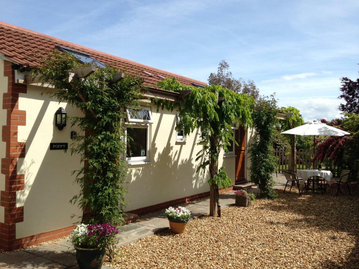 Ashford House B&B 韦尔斯 外观 照片